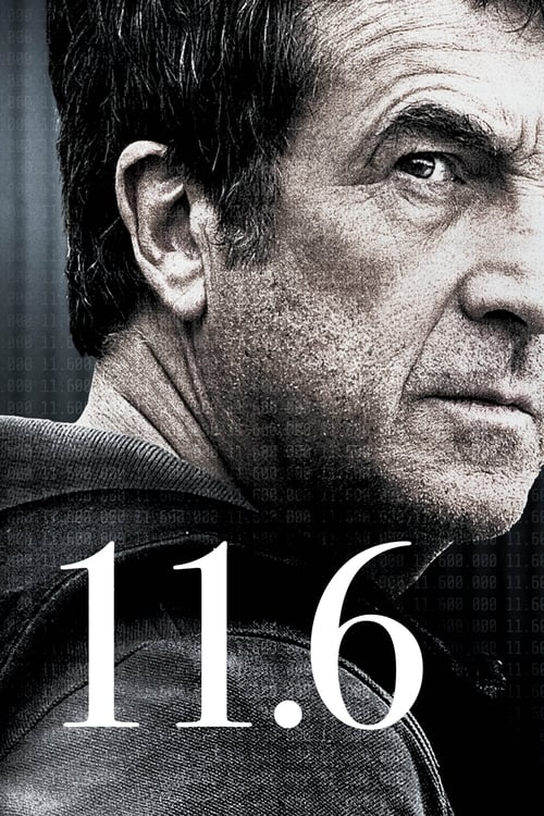 11.6 (2013)