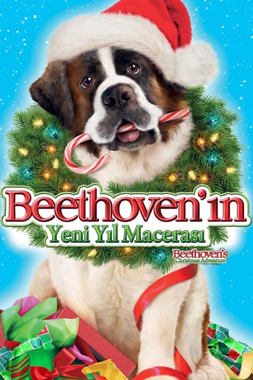 Beethoven’ın Yeni Yıl Macerası (2011)