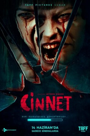 Cinnet (2019)