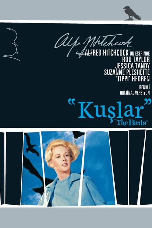 Kuşlar (1963)