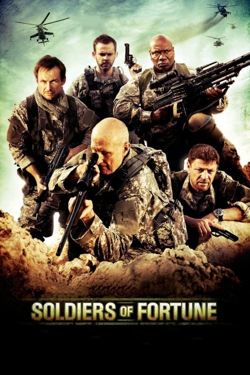 Soldiers of Fortune (2012)