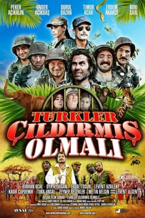 Türkler Çıldırmış Olmalı (2009)